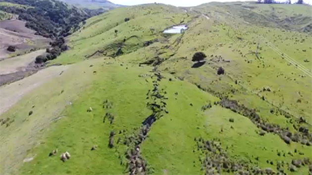 En este momento estás viendo Impresionantes desplazamientos de falla a vista de dron tras el terremoto de Nueva Zelanda