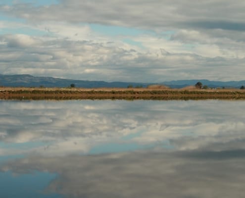 extensión de agua