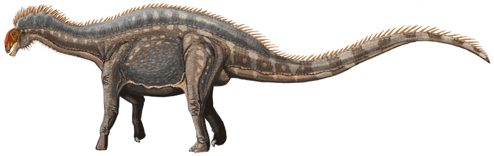 Dinosaurios del Jurásico, ¿cuáles son? - Ingeoexpert Dinosaurios del Jurásico, ¿cuáles son? - Ingeoexpert