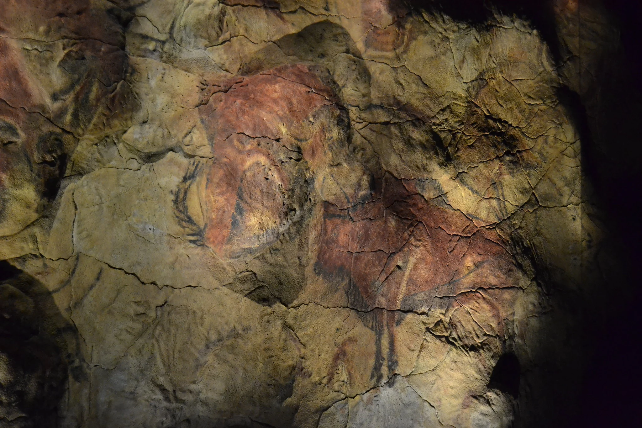 En este momento estás viendo Las cuevas de Altamira ¿Cómo son y quién las descubrió?