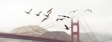 Read more about the article Golden Gate, how and when was it built?
